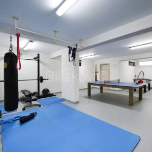 Prodaja, Otok Pag, Novalja, luksuzna vila s bazenom