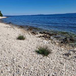 Prodaja, o.Vir, Gajine, građevinsko zemljište, 1.red do mora