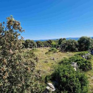 Prodaja, o.Vir, Gajine, građevinsko zemljište, 1.red do mora