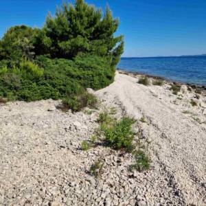 Prodaja, o.Vir, Gajine, građevinsko zemljište, 1.red do mora