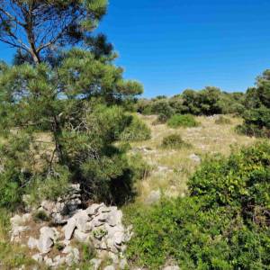 Prodaja, o.Vir, Gajine, građevinsko zemljište, 1.red do mora