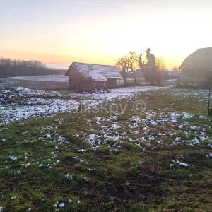 Prodaja, Pisarovina, imanje sa gospodarskim zgradama