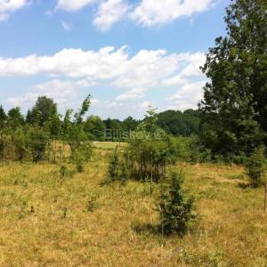 Prodaja, Plitvička Jezera, Grabovac, zemlj. ukupne površine 46.735 m2