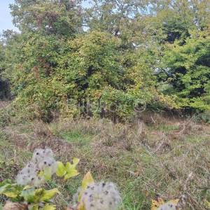 Prodaja, Podsljeme, Zagreb  građevinsko-stambeno zemljište 500m2