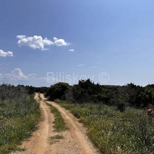 Prodaja, poljoprivredno zemljište, otok Pag 83.000 m2