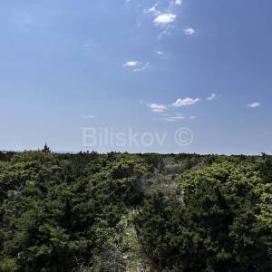 Prodaja, poljoprivredno zemljište, otok Pag 83.000 m2