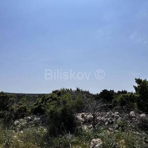 Prodaja, poljoprivredno zemljište, otok Pag 83.000 m2