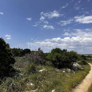 Prodaja, poljoprivredno zemljište, otok Pag 83.000 m2