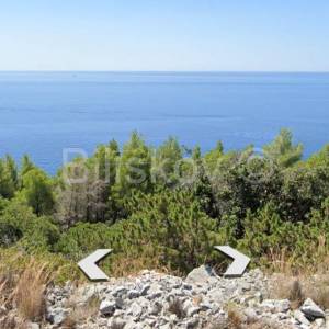 Prodaja, poljoprivredno zemljište, poluotok Pelješac