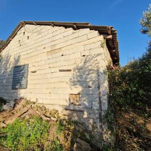 Prodaja, poljoprivredno zemljište, Kaštel Stari