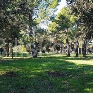 Prodaja, Rovinj, atraktivno građevinsko zemljište turističke namjene 