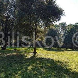 Prodaja, Rovinj, atraktivno građevinsko zemljište turističke namjene 