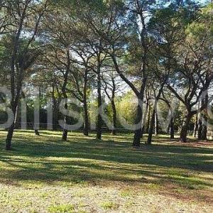 Prodaja, Rovinj, atraktivno građevinsko zemljište turističke namjene 