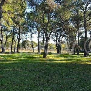 Prodaja, Rovinj, atraktivno građevinsko zemljište turističke namjene 