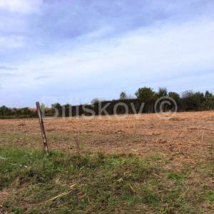 Prodaja, Samobor, poljoprivredno zemljište