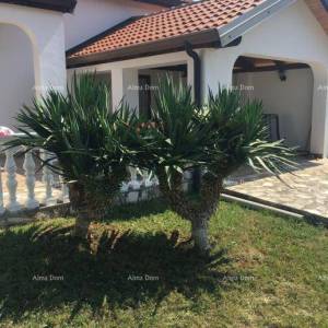 Prodaja - Samostojeća kuća na lijepo i uređenoj okućnici, Kaštel!