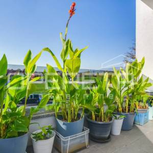 Prodaja, Stan, Gornja Dubrava, Potočka, 3s, 80m2