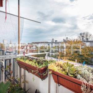 Prodaja, Stan, Volovčica, Donje Svetice, 2s, 51m2