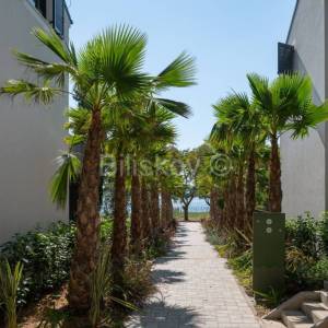 Prodaja, Sv Filip i Jakov, Molum hotel&residences