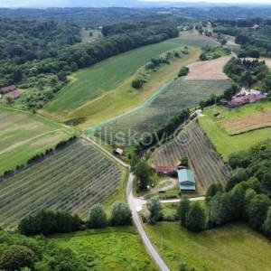 Prodaja, Sv. Ivan Zelina, Radoišće, imanje sa kućom i gosp. objektom