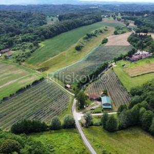 Prodaja, Sv. Ivan Zelina, Radoišće, imanje sa kućom i gosp. objektom