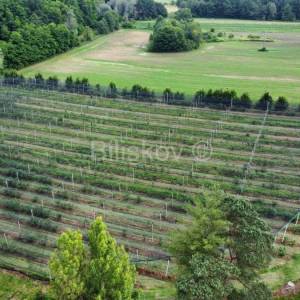 Prodaja, Sv. Ivan Zelina, Radoišće, imanje sa kućom i gosp. objektom
