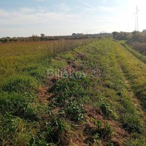 Prodaja, Sveti Filip i Jakov, Donje Raštane, poljoprivredno zemljište 