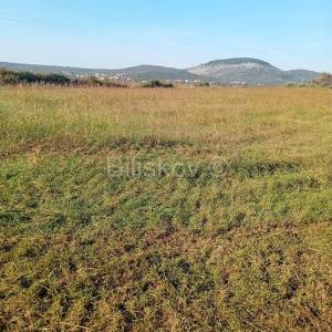 Prodaja, Sveti Filip i Jakov, Donje Raštane, poljoprivredno zemljište 