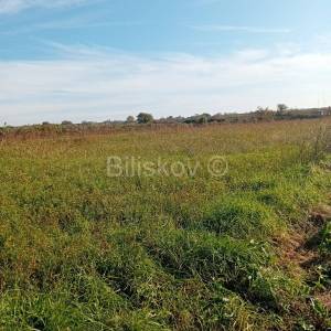 Prodaja, Sveti Filip i Jakov, Donje Raštane, poljoprivredno zemljište 