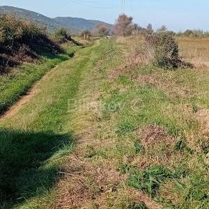 Prodaja, Sveti Filip i Jakov, Donje Raštane, poljoprivredno zemljište 