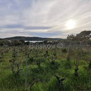Prodaja, Tisno, samostojeća kuća, 10000 m2 parcela