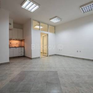 Prodaja, Trešnjevka jug, Knežija, poslovni prostor