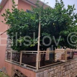 Prodaja, Vela Luka, samostojeća kuća, terasa