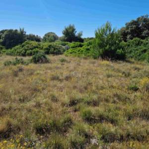 Prodaja, Vir, Torovi, građevinsko zemljište ukupne površine 1337 m²