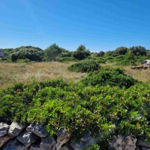 Prodaja, Vir, Torovi, građevinsko zemljište ukupne površine 1337 m²