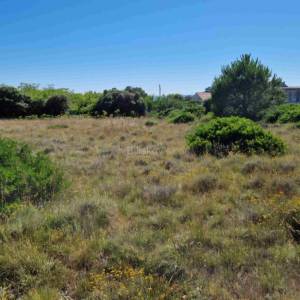 Prodaja, Vir, Torovi, građevinsko zemljište ukupne površine 1337 m²