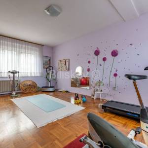 Prodaja, Zagreb, blizina Vinogradske, prostrana trokatnica, okućnica