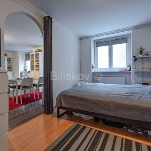 Prodaja, Zagreb, Donji grad, dvosoban stan 41 m², prizemlje, parking