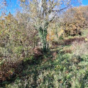 Prodaja, Zagreb, Granešina, građevinsko - stambeno zemljište 808m2.