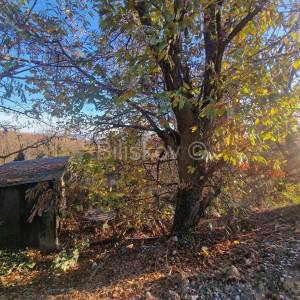 Prodaja, Zagreb, Markuševec, zemljište sa kućom u zelenoj zoni 