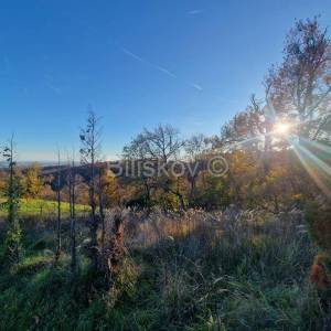 Prodaja, Zagreb, Markuševec, zemljište sa kućom u zelenoj zoni 