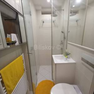 Prodaja, Zagreb, Petrova, stan u prizemlju