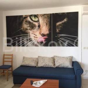 Prodaje se apartmanska kuća uz more – Mirca, otok Brač