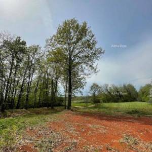 PRODAJE SE GRAĐEVINSKO ZEMLJIŠTE S PROJEKTOM – Barban (1.010 m²)