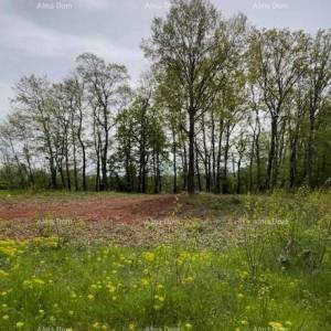 PRODAJE SE GRAĐEVINSKO ZEMLJIŠTE S PROJEKTOM – Barban (1.010 m²)