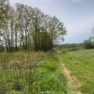 PRODAJE SE GRAĐEVINSKO ZEMLJIŠTE S PROJEKTOM – Barban (1.010 m²)