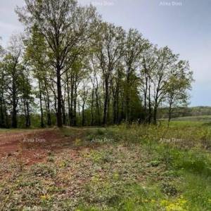 PRODAJE SE GRAĐEVINSKO ZEMLJIŠTE S PROJEKTOM – Barban (1.010 m²)