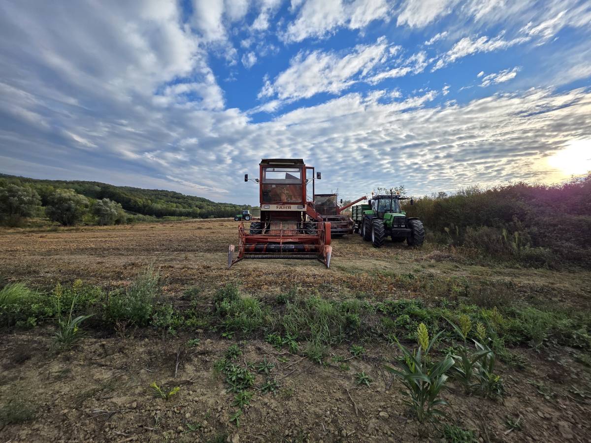 Prodaje se kombajn Fahr M 1000