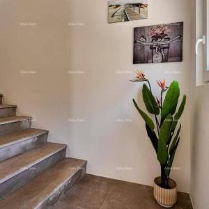 Prodaje se kuća s bazenom i pogledom na more – Ližnjan