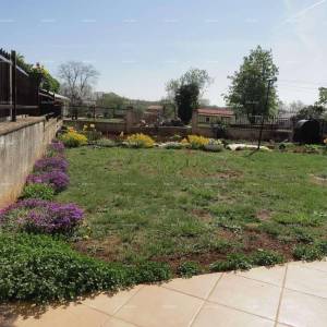 Prodaje se kuća sa šumom u Kašteliru